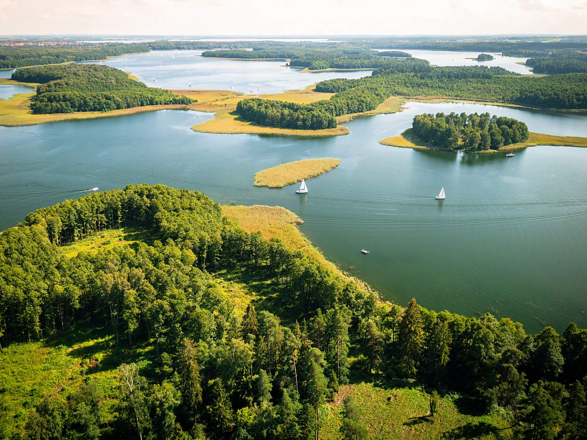 MAZURY